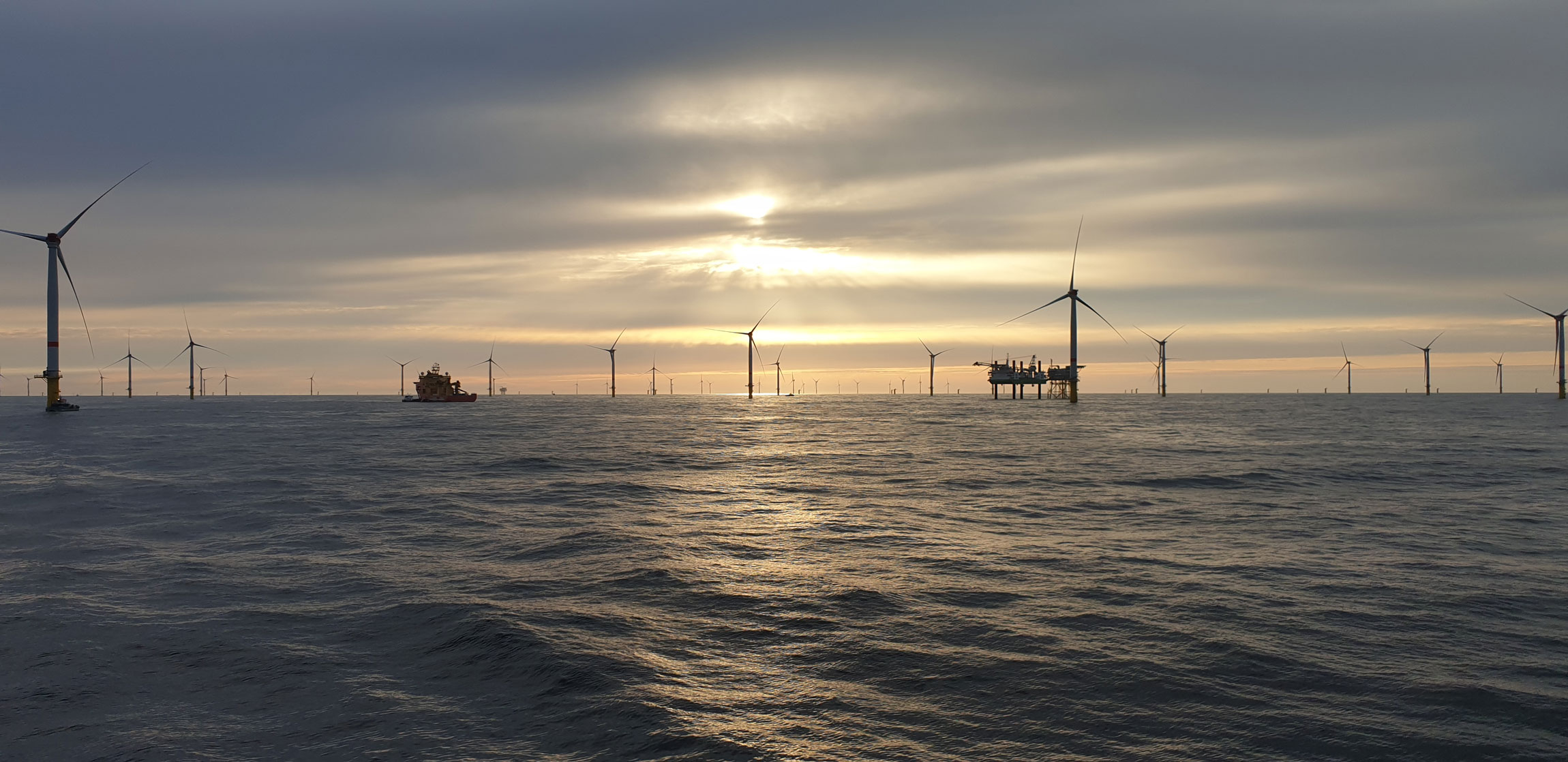 Offshore wind farm