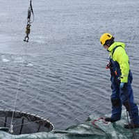 04 - Launching Ring net.JPG