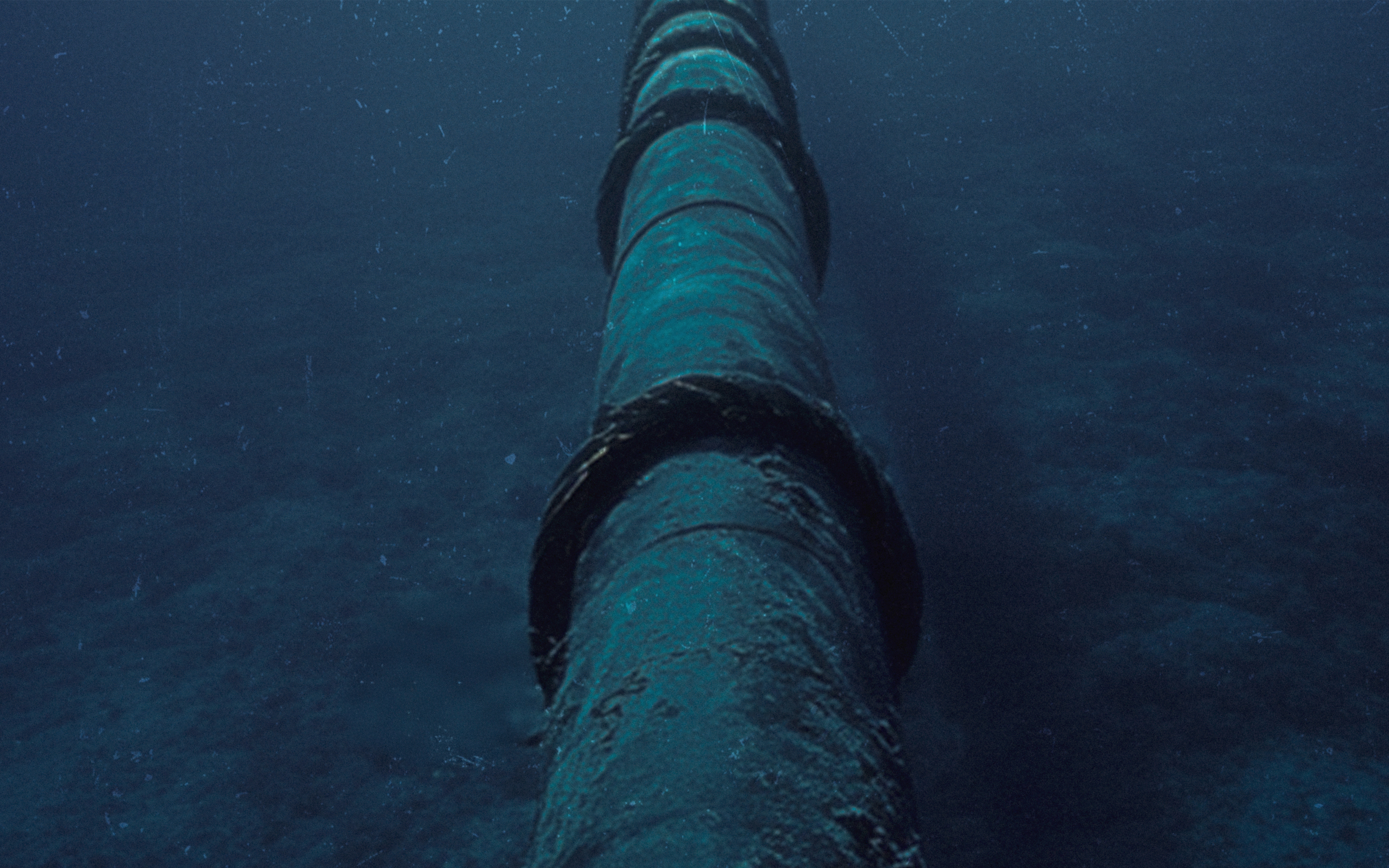 Shutterstock 2613727527 Edit